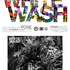 20111116111932-whitewash