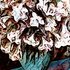20110703103327-ak8834e4df_0862_4a20_b859_300422b541bc_pittura