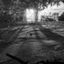20110704165457-project2_copy