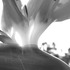 20110704172228-bird_copy
