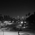 20110704172318-bw_fields