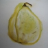 Hookbill_8x8