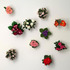 20110704232830-hpf_flower-pots_c3390_email