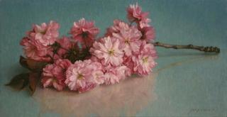Sierkersbloesem,Jaap Roose