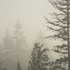 20110705132008-fog_art-1306429953