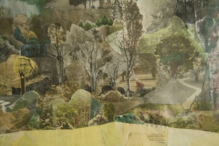 Field Study,Anne Percoco