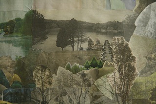 Field Study,Anne Percoco