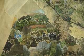 Field Study,Anne Percoco