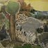 20110705164543-field_study_vi__detail_