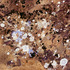 20110705183248-klimpt_16x16b