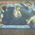 20110705184132-bathers