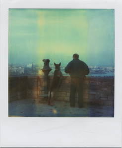 20110706042947-barcelona_dog_montjuic_lowres
