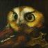 20110706104856-charhall_owl