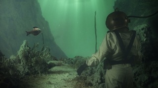 Diver,Troy Morgan