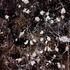 20130414164150-i_am_a_traveller