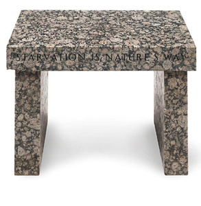 20110707084212-hol-0005-truism-footstool