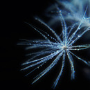 20110707111852-img_5526