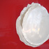 20110707113545-p_skin_dtail