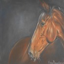 20110708174359-dscn0402