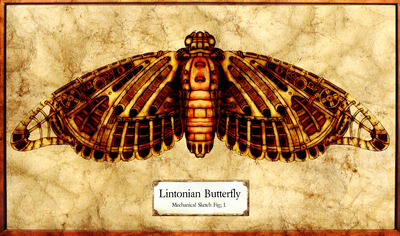 20110709184308-lintonian_butterfly