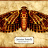 20110709184308-lintonian_butterfly