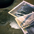 20110710201933-plan2web