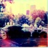 20110710212128-polaroids1008