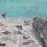20110711091254-_pave_et_rayes_manta___wreck_and_devilfish___55x65__noviembre_2011__a