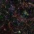 20110711122906-embedded