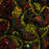 20110711122825-spinaltrap