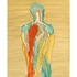 20110711161409-yap_male_figure