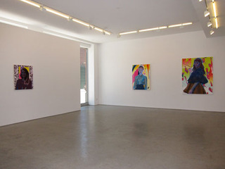 Installation View,