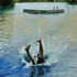 20110712160930-kb_diving_30x22_1072