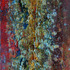 20110713082055-between_winter___spring_1