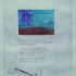 20110714081631-wings_print