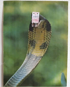 A87