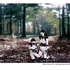 20110714092841-naturestory
