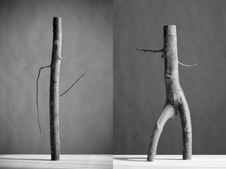 Arbor 2,Luis Delgado