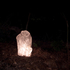 20110714232516-den_dran_thol_o_gy