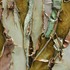 20110715063043-business_and_pleasure_1
