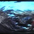 20110715074753-vvv