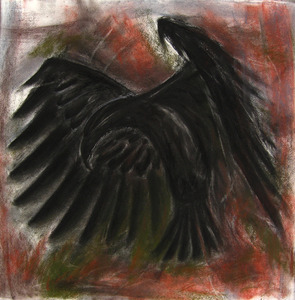 20110716101454-crowtohv_jan08