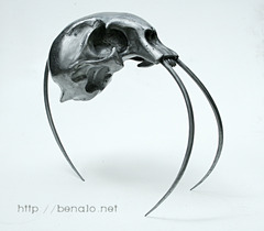 20110717042240-tigerskull_8fb