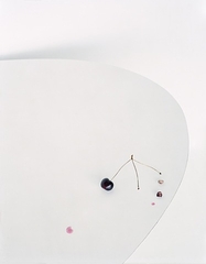 Untitled #4 (The Fall) ,Laura Letinsky
