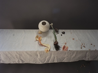 Untitled #23 (The Dog & The Wolf) ,Laura Letinsky