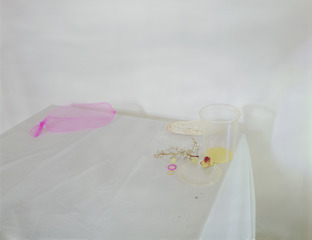 Untitled #5 , To Say it Isn\'t So,Laura Letinsky