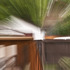 20110718135610-summer_passed_quickly__300_