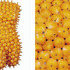 20110719063700-fruit-sculpture