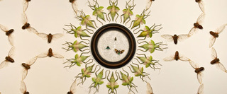 ,Jennifer Angus