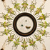 20110719235102-angus--banner